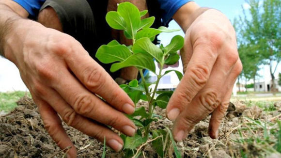 Image default