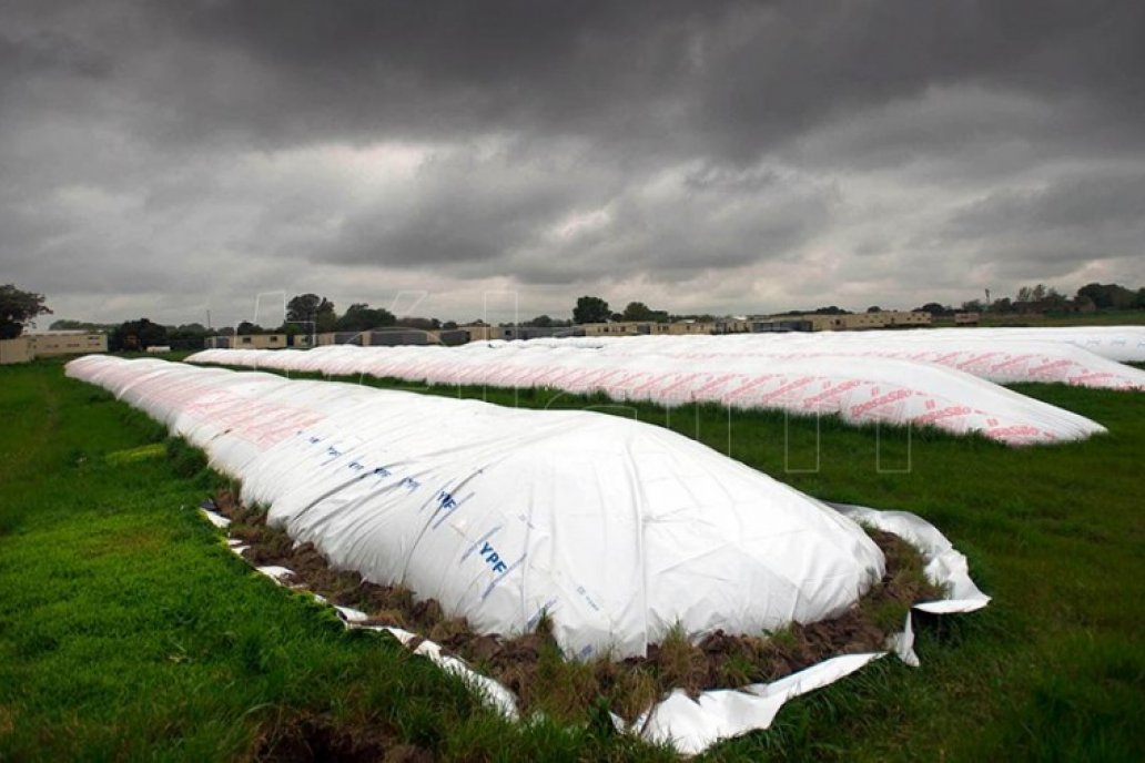 Poco más del 40 % de la producción nacional se conserva en silobolsas