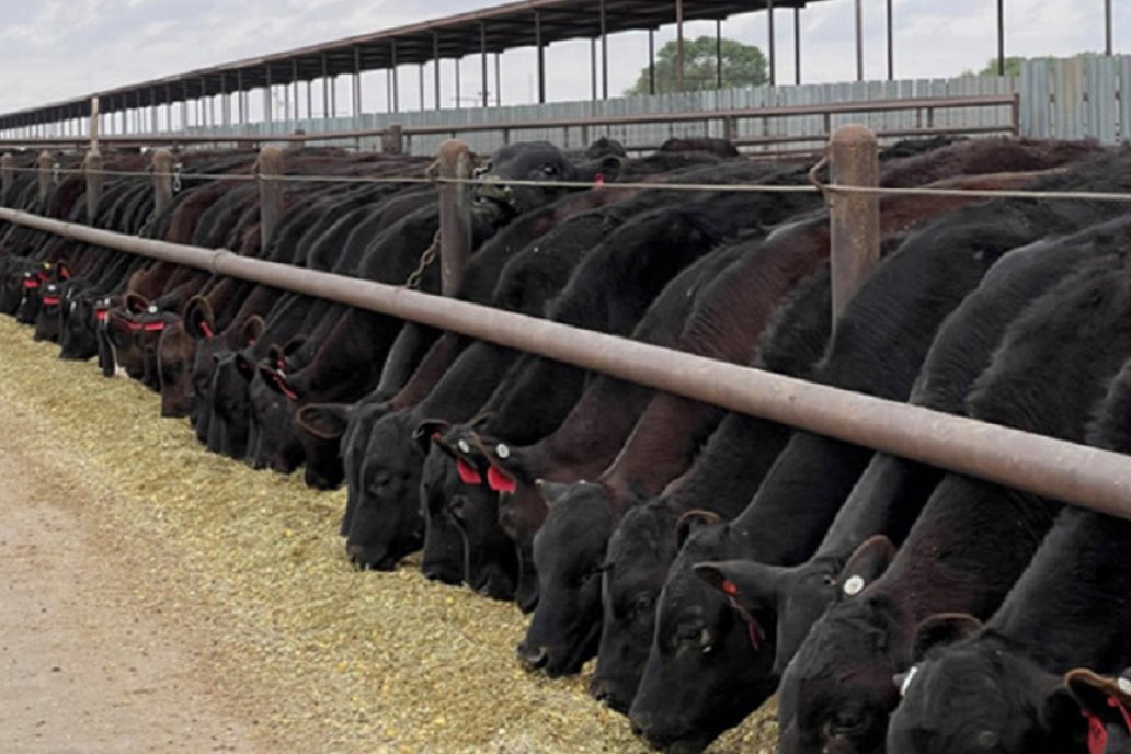 La Ganadera lanzó programa de asesoramiento técnico para potenciar rentabilidad del campo
