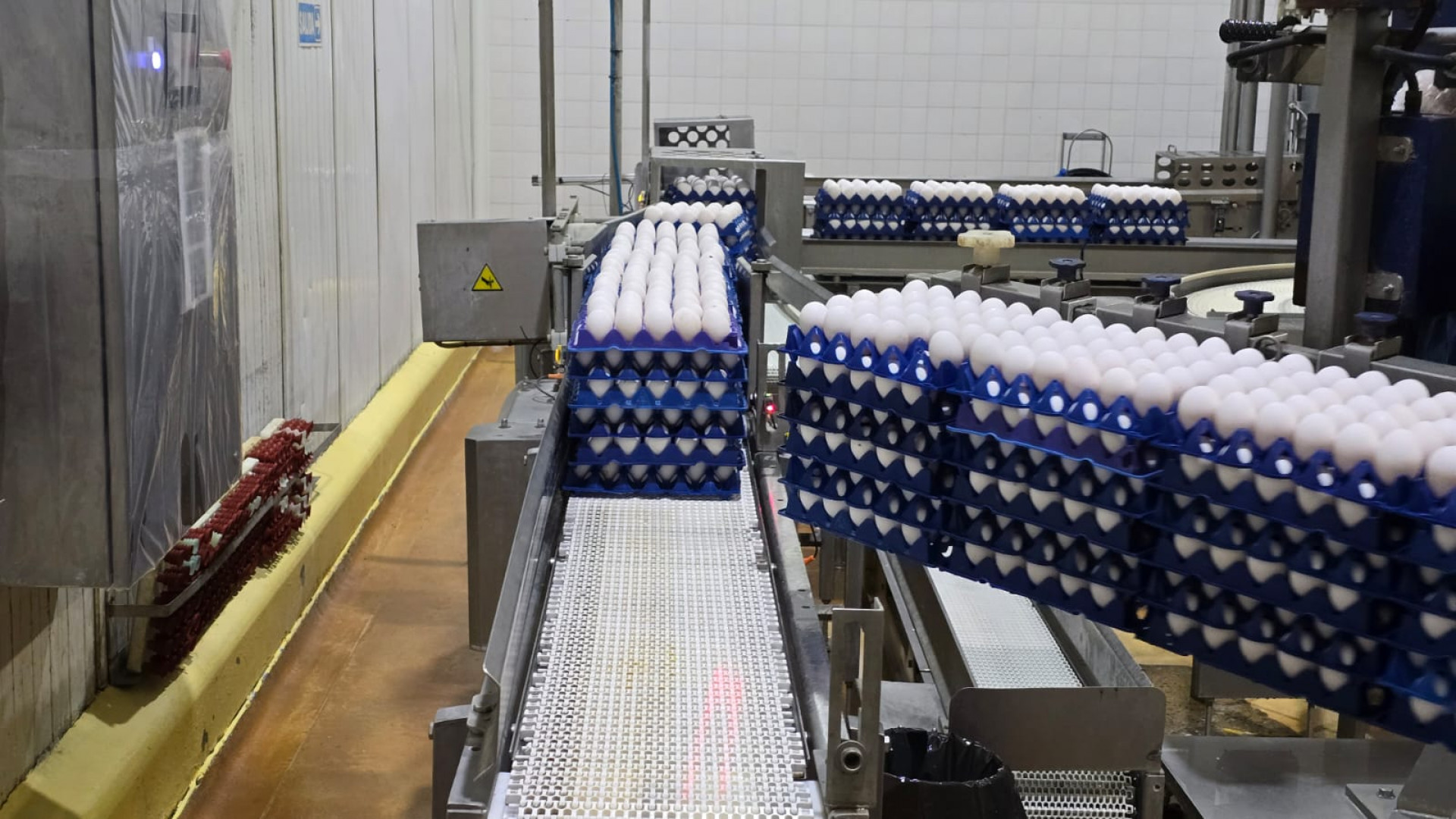 La inocuidad de los ovoproductos en el corredor avícola entrerriano potencian las exportaciones