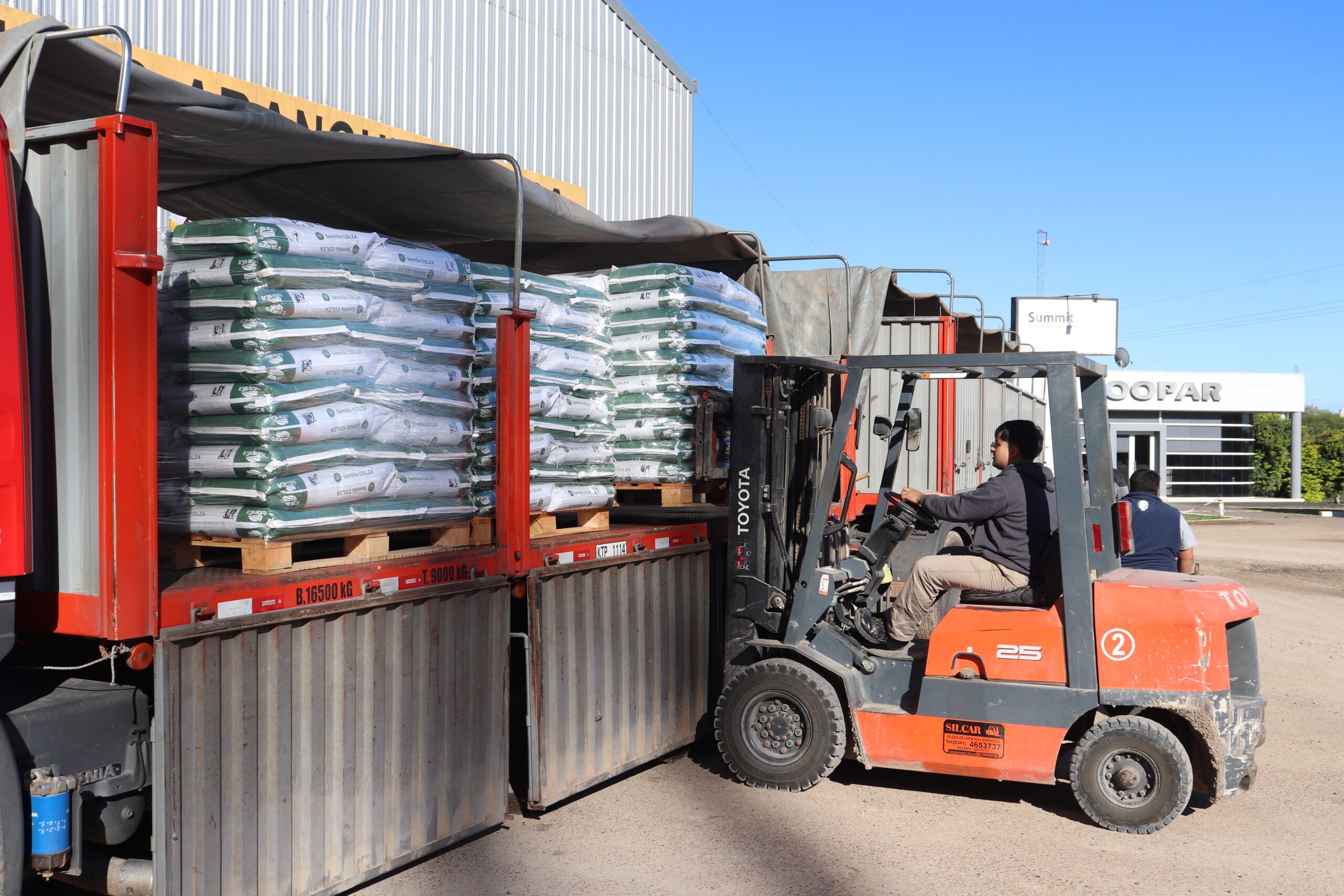 COOPAR concretó su tercera exportación de colza a Uruguay y proyecta alcanzar los 85 mil kilos