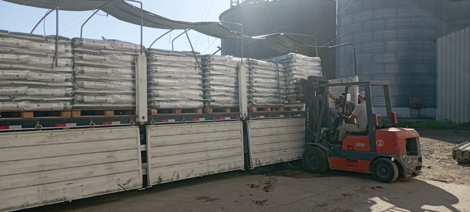 COOPAR avanza con nuevas exportaciones de colza y proyecta ampliar su volumen total