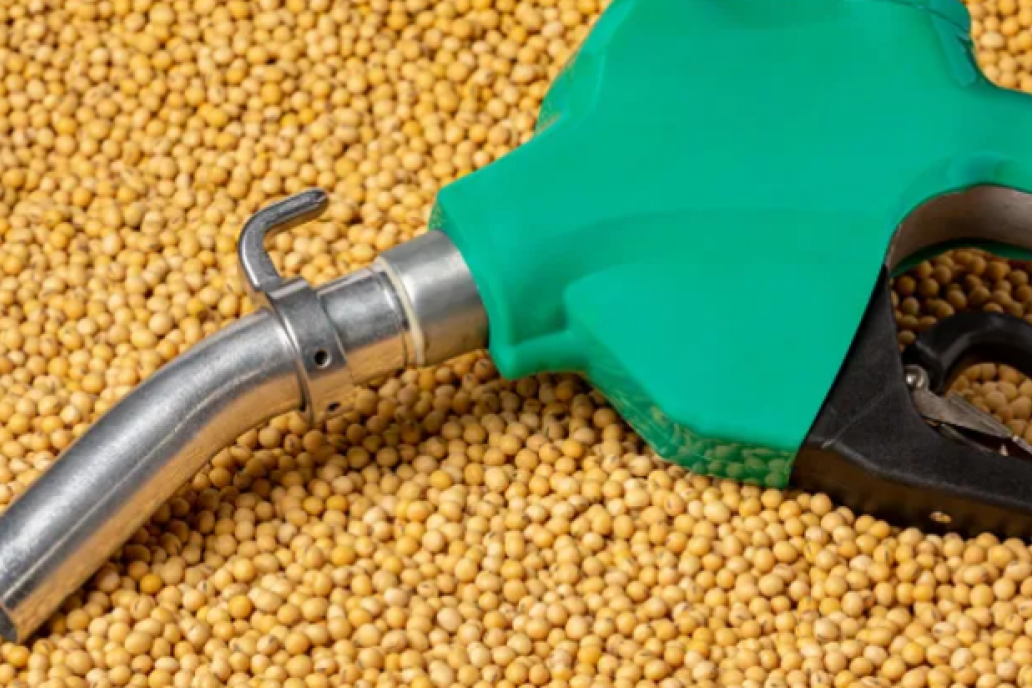 Con salvaguardas europeas sobre productos sensibles, el acuerdo del Mercosur con la UE arrancará en mayo