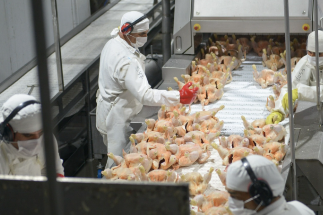 El Día del Trabajador inicia el acuerdo entre el Mercosur y la UE