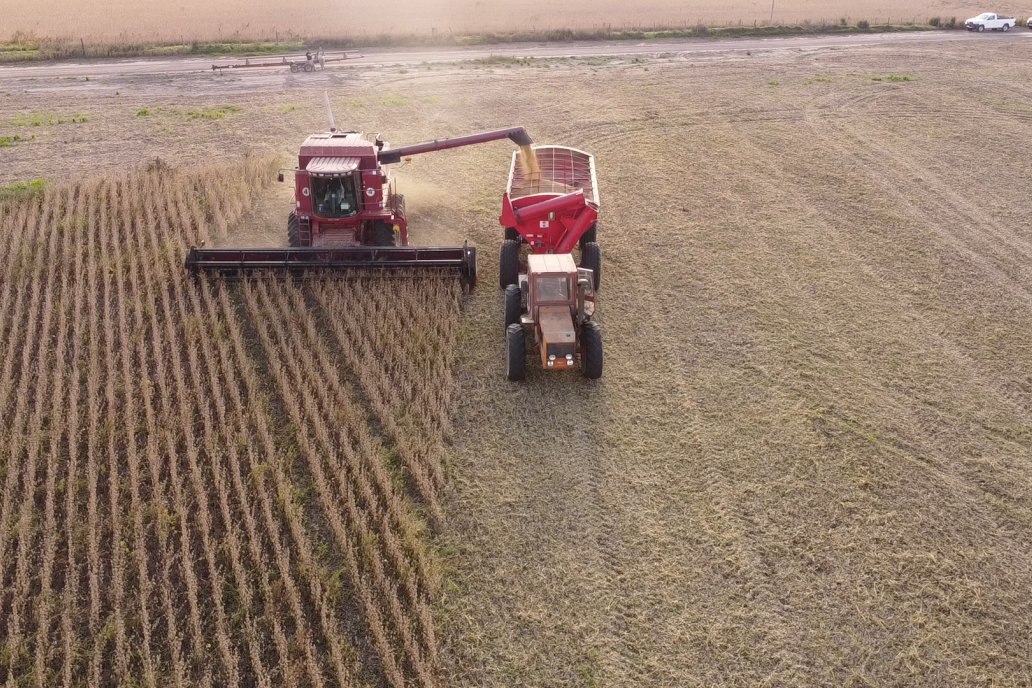 Hay más de 1,2 millones de soja plantadas y se complica su recolección por imperio del clima
