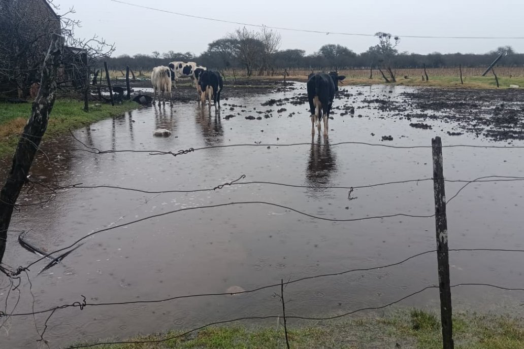 Anticipan que el ajuste en el SMN impactará en el campo y su gente