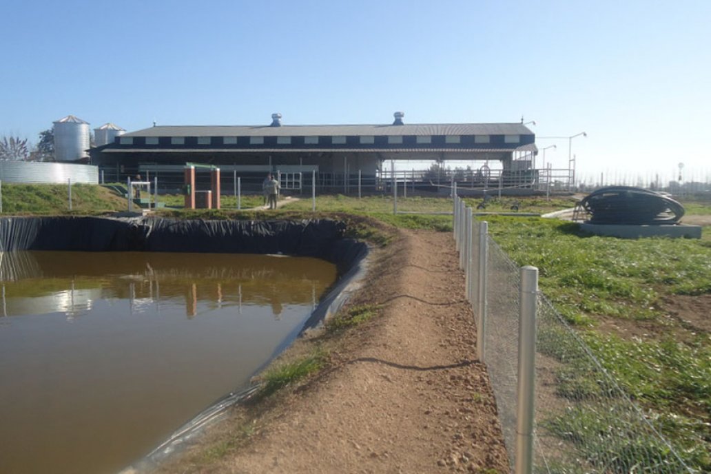 Los residuos pecuarios se pondrán en valor durante Todo Láctea