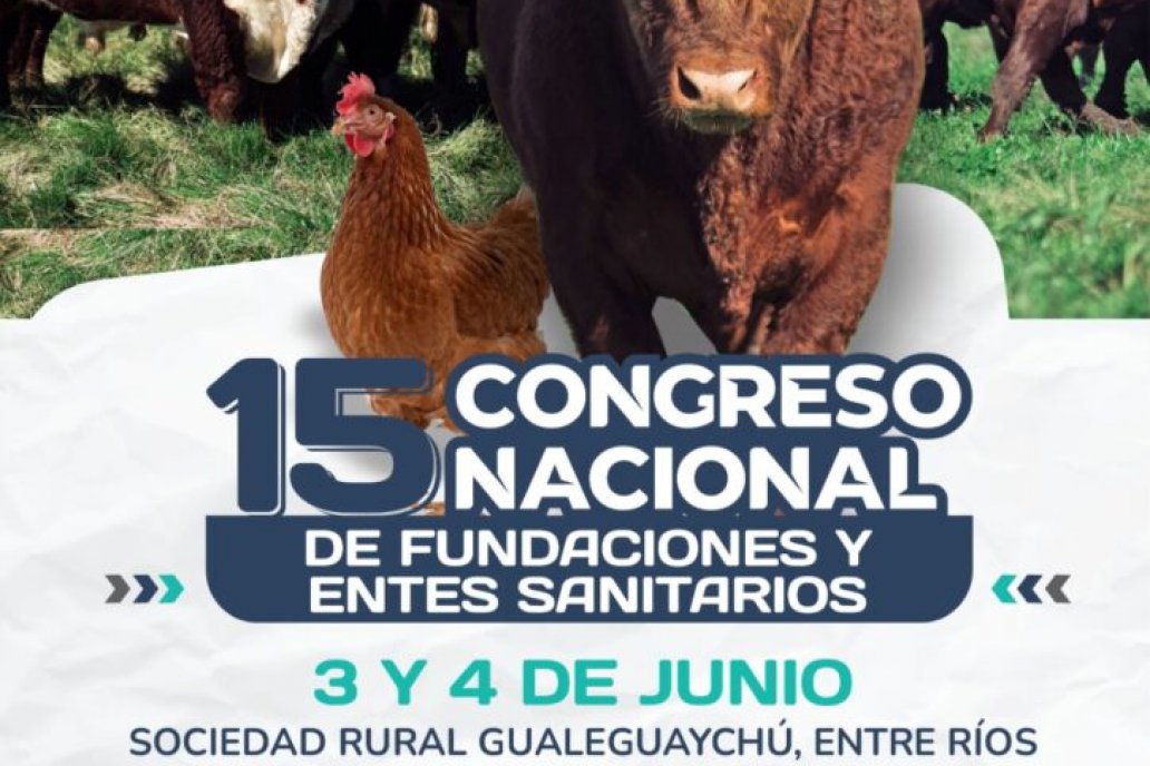 Gualeguaychú será sede del congreso de fundaciones y entes sanitarios