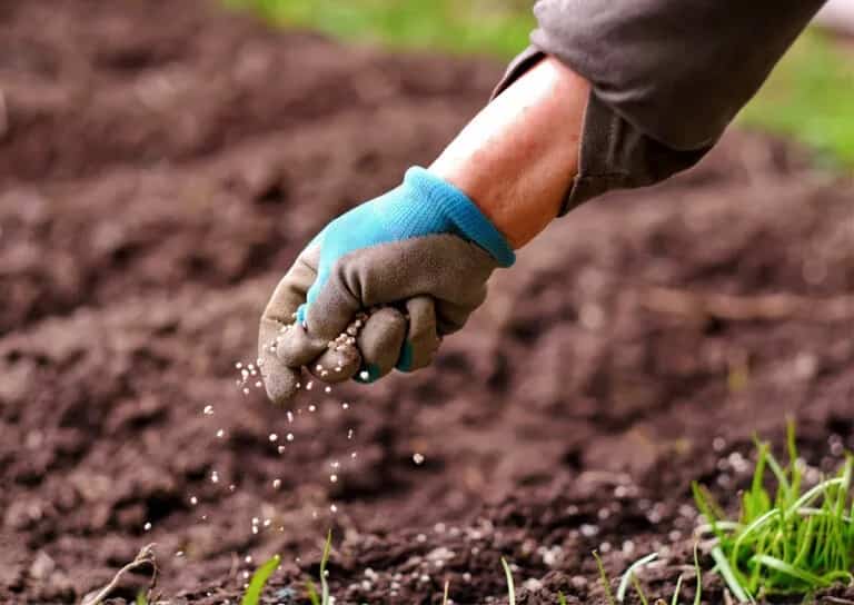 Planificar la fertilización es clave para mantener la productividad