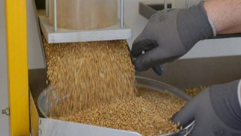 Porque hay más granos disponibles aumentó 12,3% la molienda de trigo