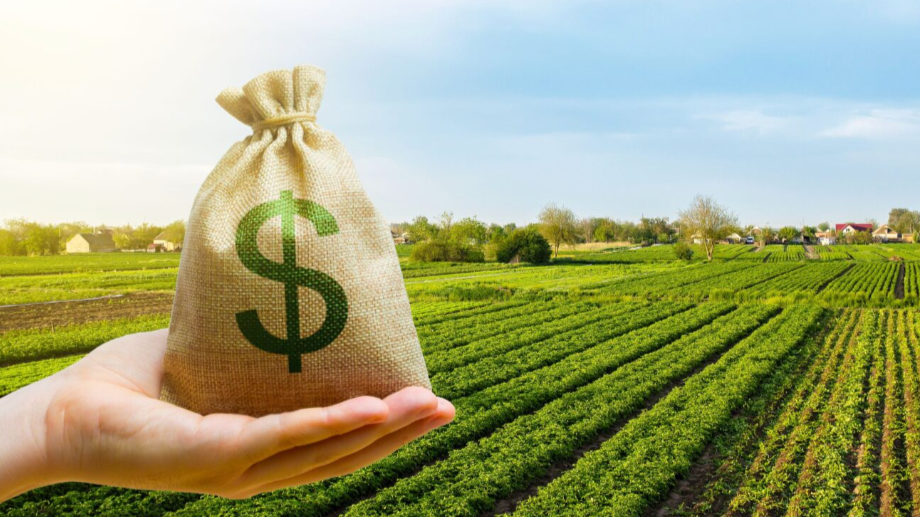 Los ingresos de divisas del agro a la Argentina duplican lo hecho por mineros y petroleros