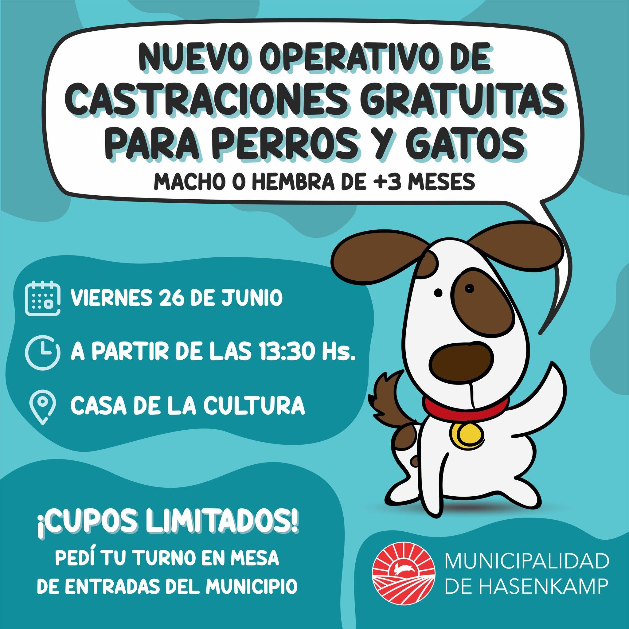 Reprogramaron el operativo de castraciones de mascotas en Hasenkamp
