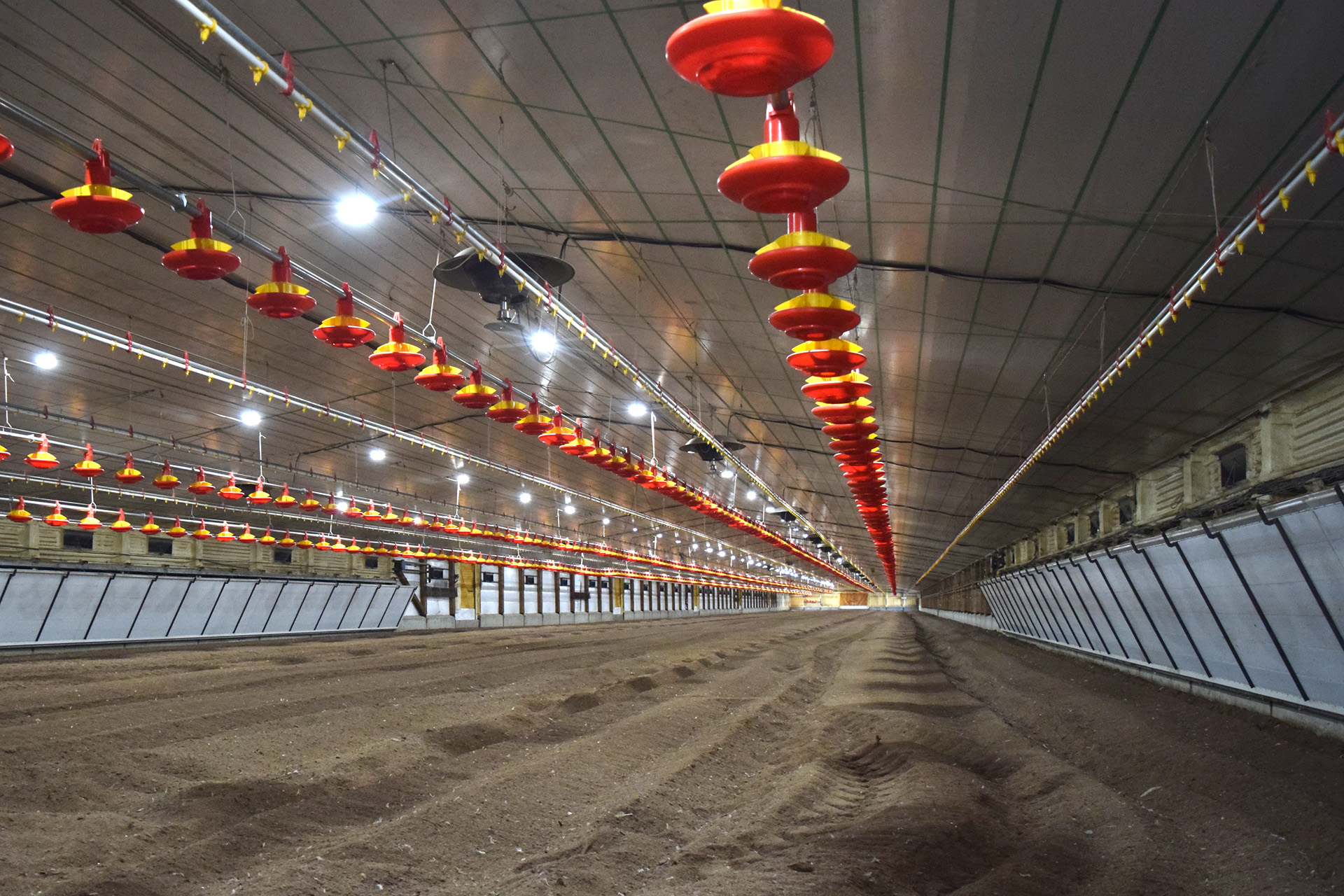 Inversión avícola en Villaguay suma desarrollo en bioseguridad con tecnología de punta