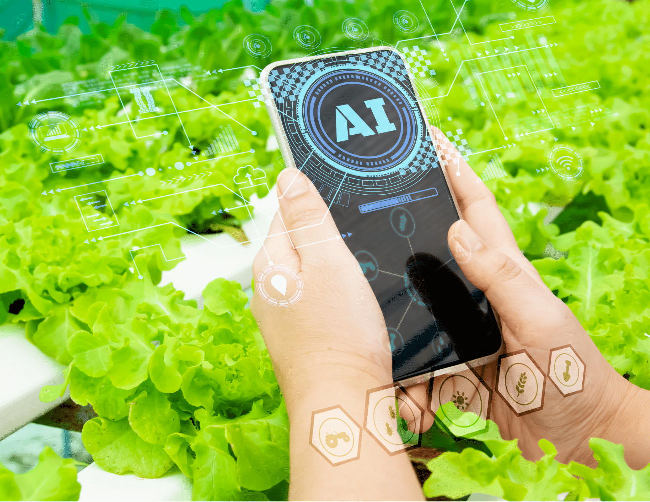 Los algoritmos también están transformando la producción primaria