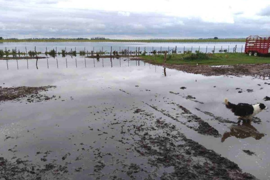 Prenden las alertas para el segundo semestre del año por inundaciones en zonas agrícolas de la Argentina
