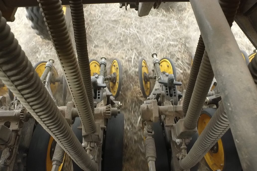 La intención de siembra del girasol pierde adhesiones en Entre Ríos mientras va sumando el maíz