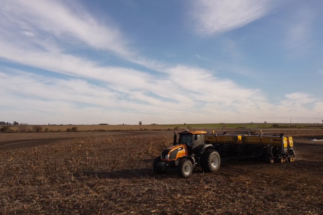Mientras el clima ayudó, se expandió la superficie triguera