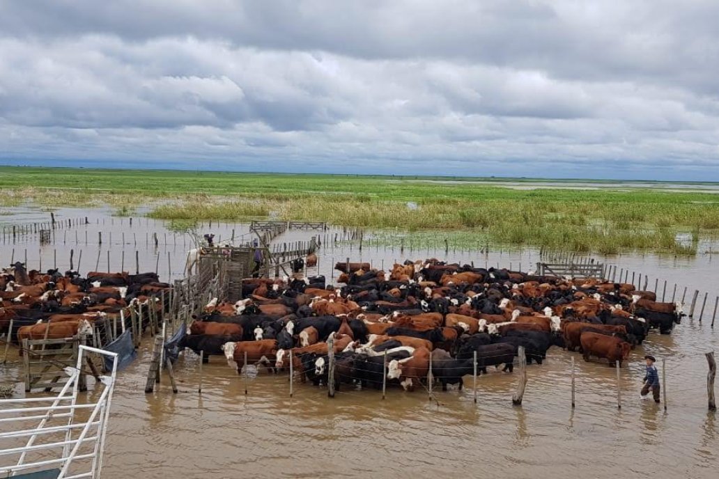 Crecen peligrosamente las posibilidades de atravesar en breve un ciclo de grandes cambios climáticos