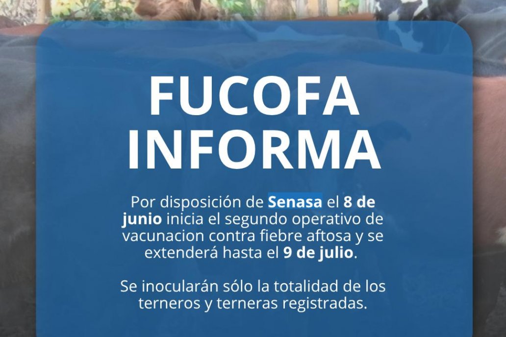 Senasa ordenó vacunar contra fiebre aftosa desde este 8 de junio
