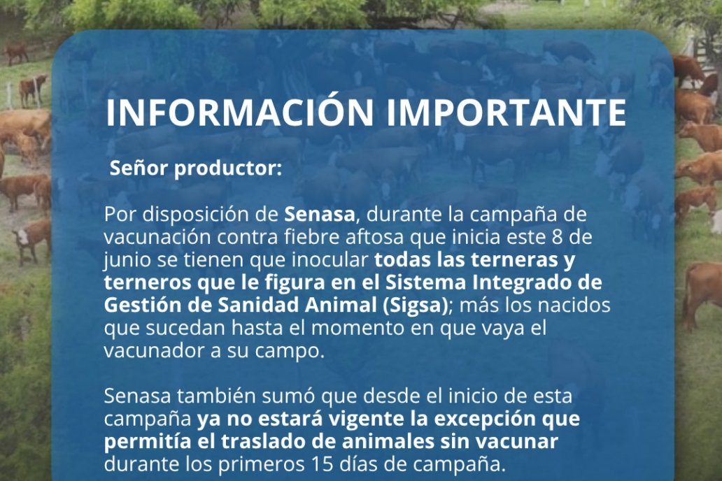 Lo que hay que saber sobre la vacunada que inicia este lunes