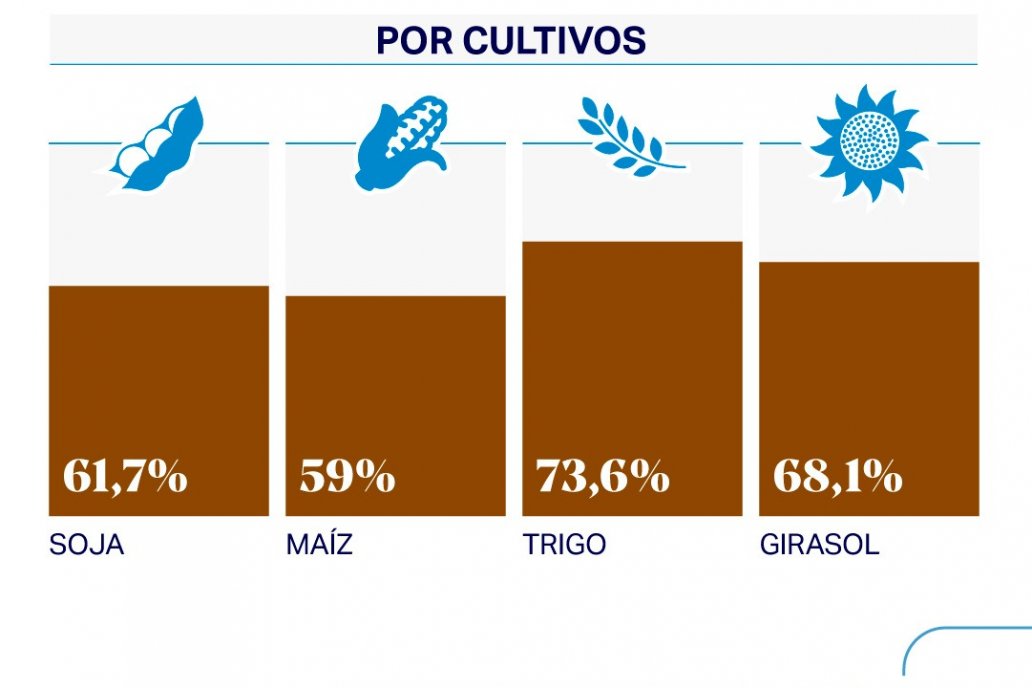 Por cada 100 pesos que generan los productores, casi 62 son impuestos