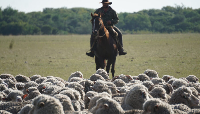 Aumento para peones rurales: el salario básico perfora el piso del millón de pesos