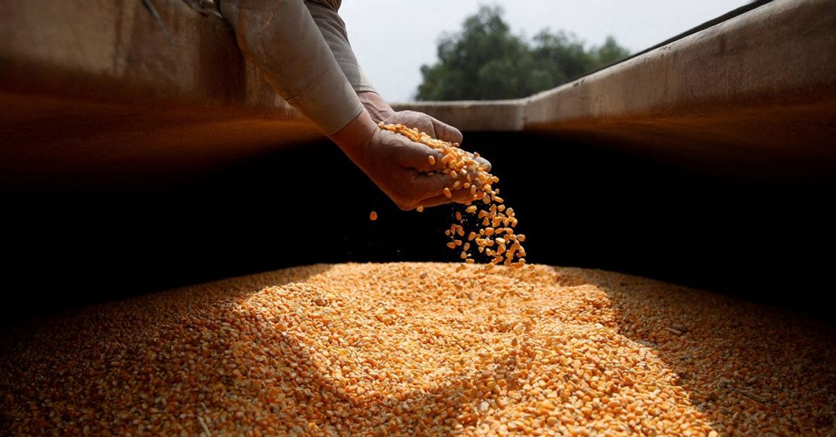 El Gobierno nacional lanzó un nuevo protocolo de semillas para impulsar las exportaciones agroindustriales