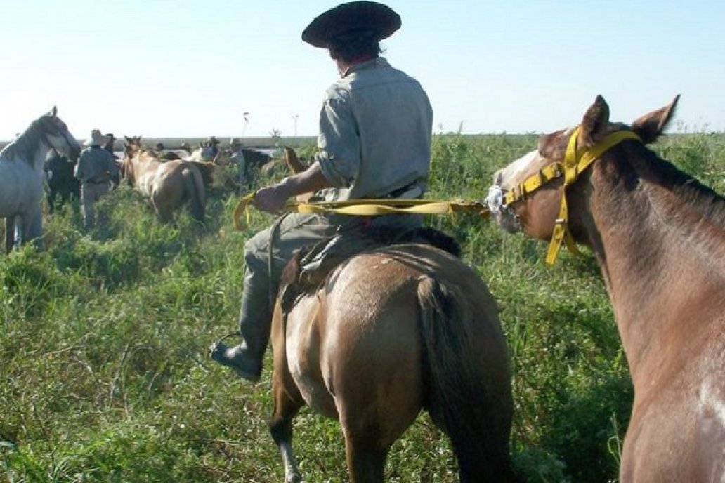 Recomendaciones ante posibles traslados de animales por creciente