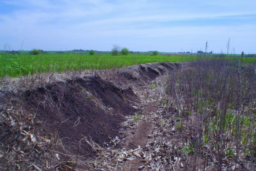 Expertos asocian el manejo agrícola con cambios en el suelo y el carbono
