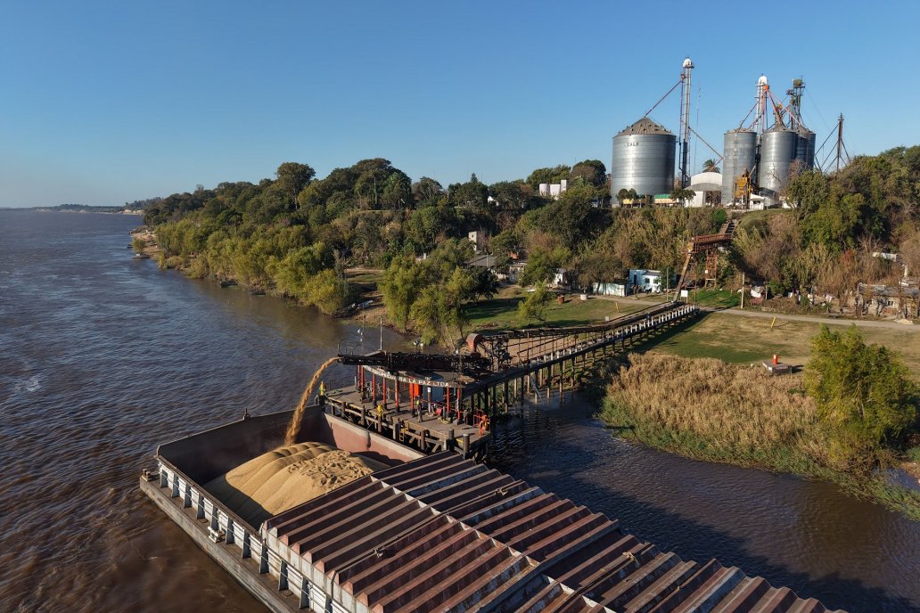Trigo, maíz, carne, soja y arroz lideran las ventas de la provincia