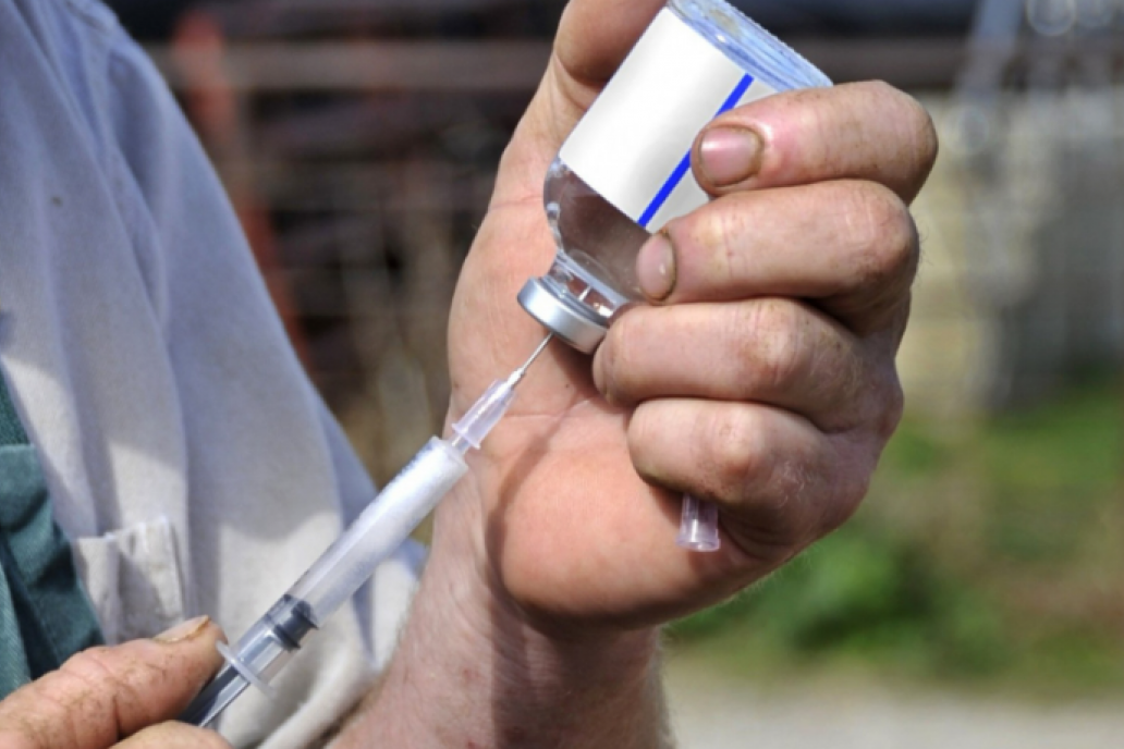 La trazabilidad digital sobre el uso y manejo de medicamentos veterinarios está en marcha