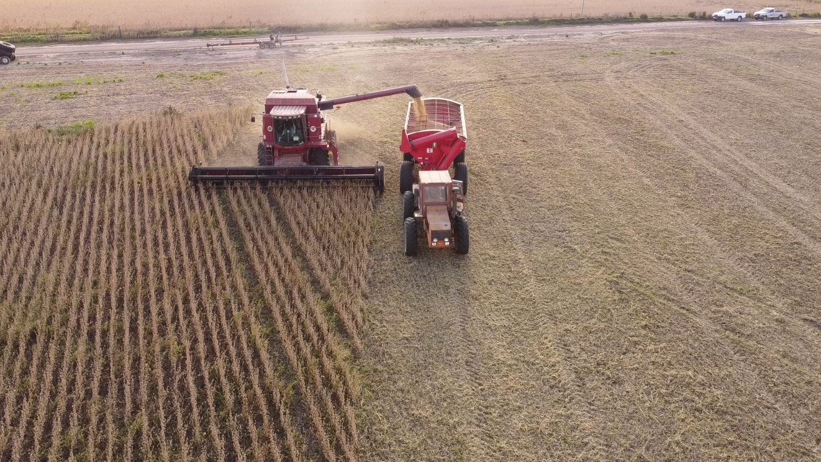 Estadísticas revelan que la provincia logró el mejor rendimiento agrícola de los últimos 25 años