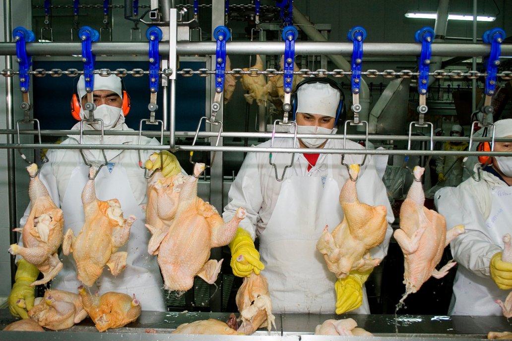 Argentina logró la reapertura del mercado de Corea del Sur