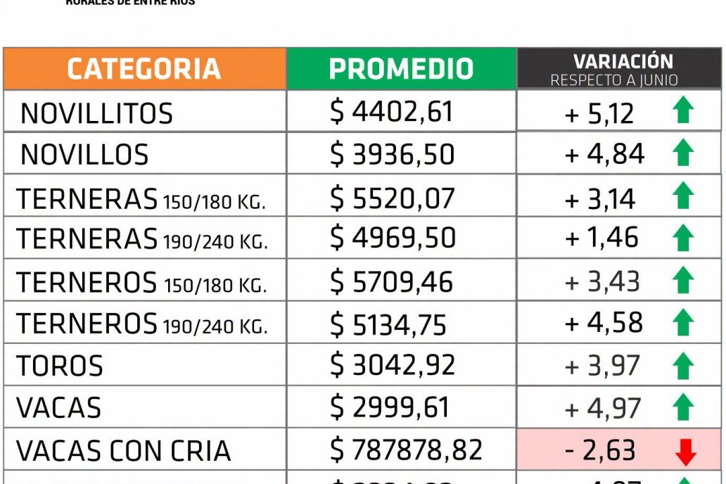 Julio fue el mes donde casi todas las categorías vacunas fueron positivas