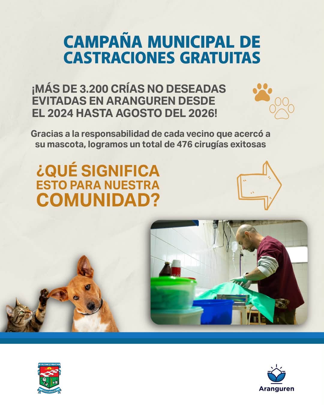 Castraciones de mascotas: más de 3.200 crías no deseadas evitadas en Aranguren