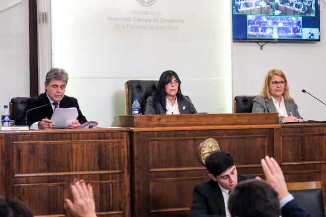 El Senado sancionó la ley de Consorcios Camineros