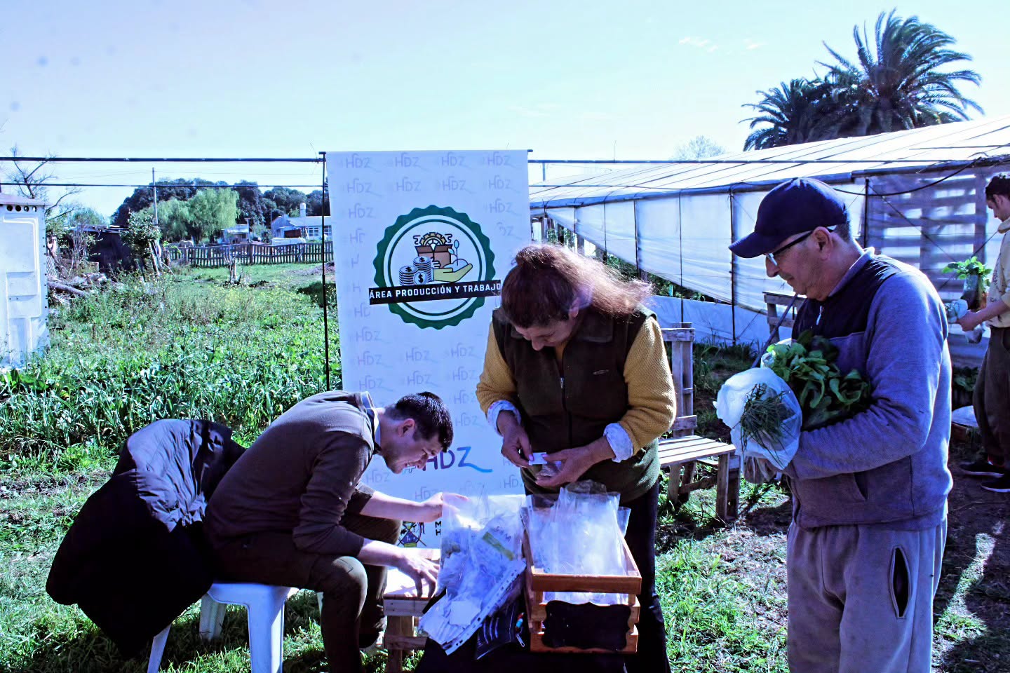 Promoción de la actividad hortícola en Hernández