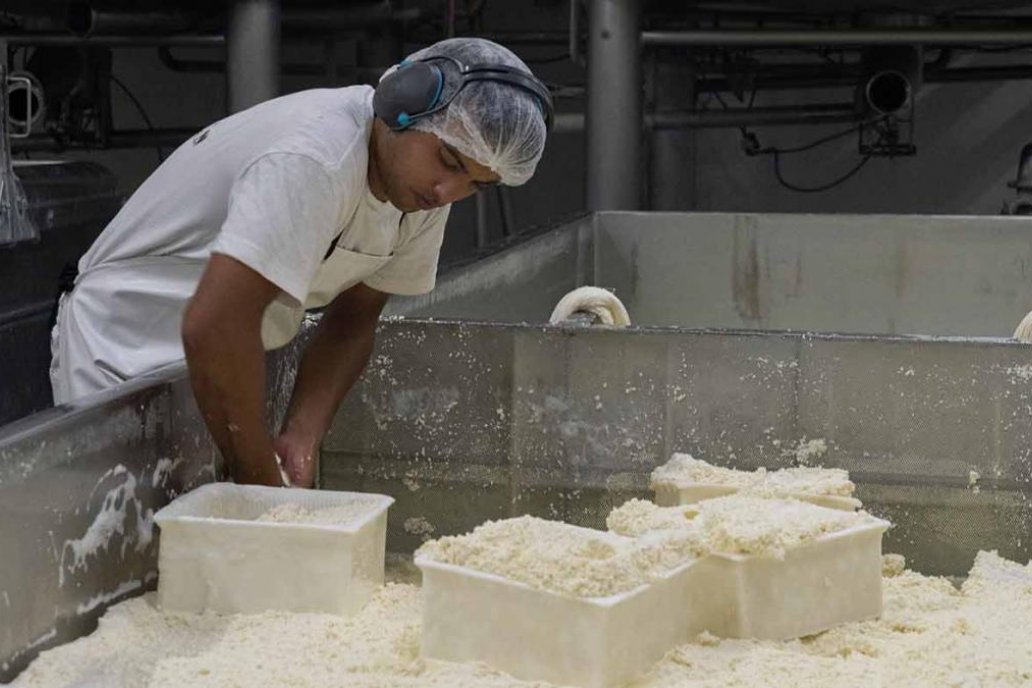 Mejora el consumo internacional de varios productos lácteos argentinos
