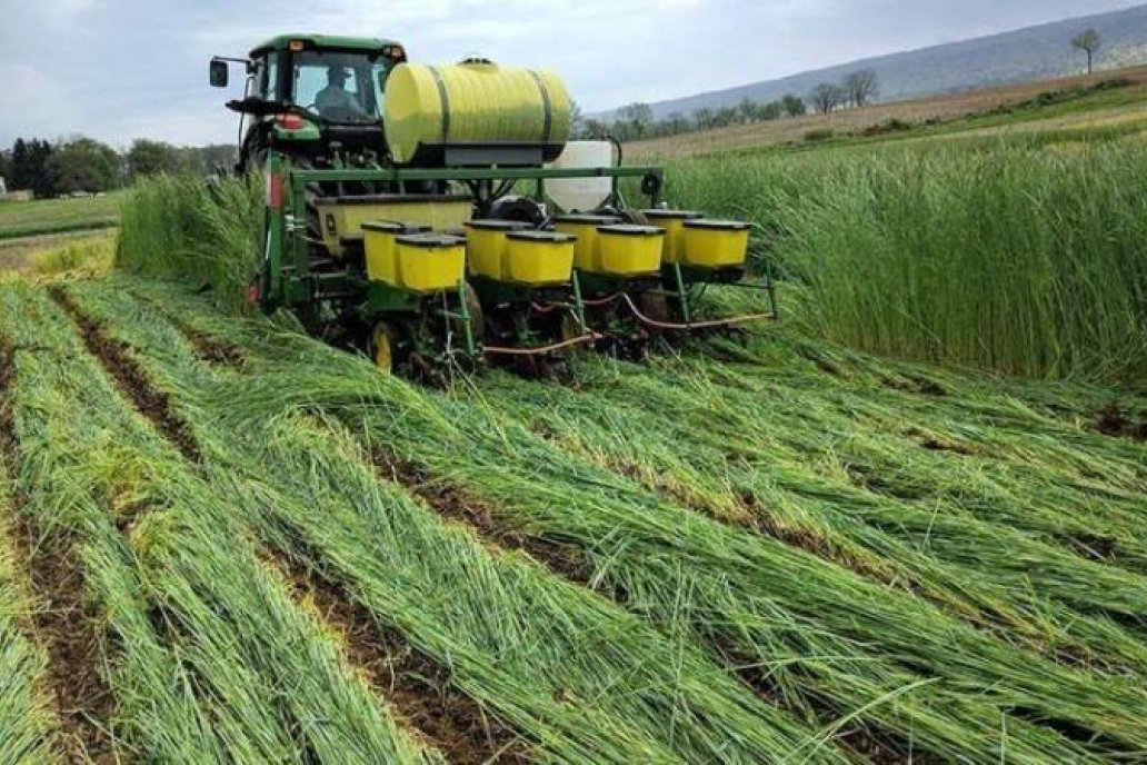 Instalan el debate de lo que viene en materia de conservación de suelos luego de la siembra directa
