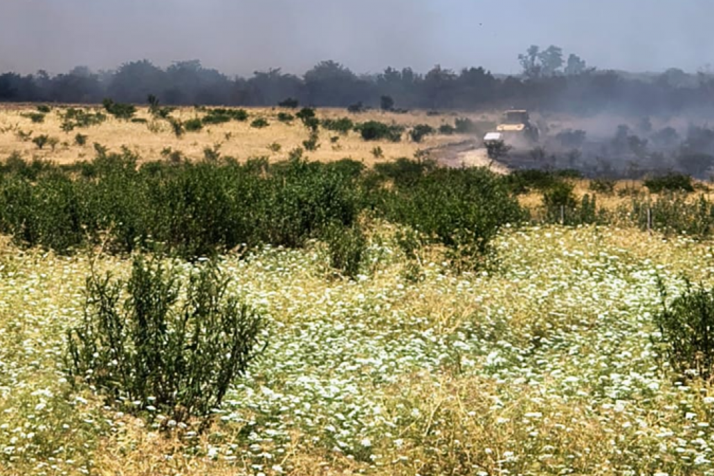 Rescataron 124.000 hectáreas de tierras fiscales usurpadas