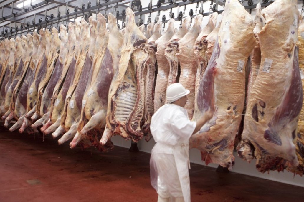 Frigoríficos: exportadores aumentan la faena, los “consumeros” sufren